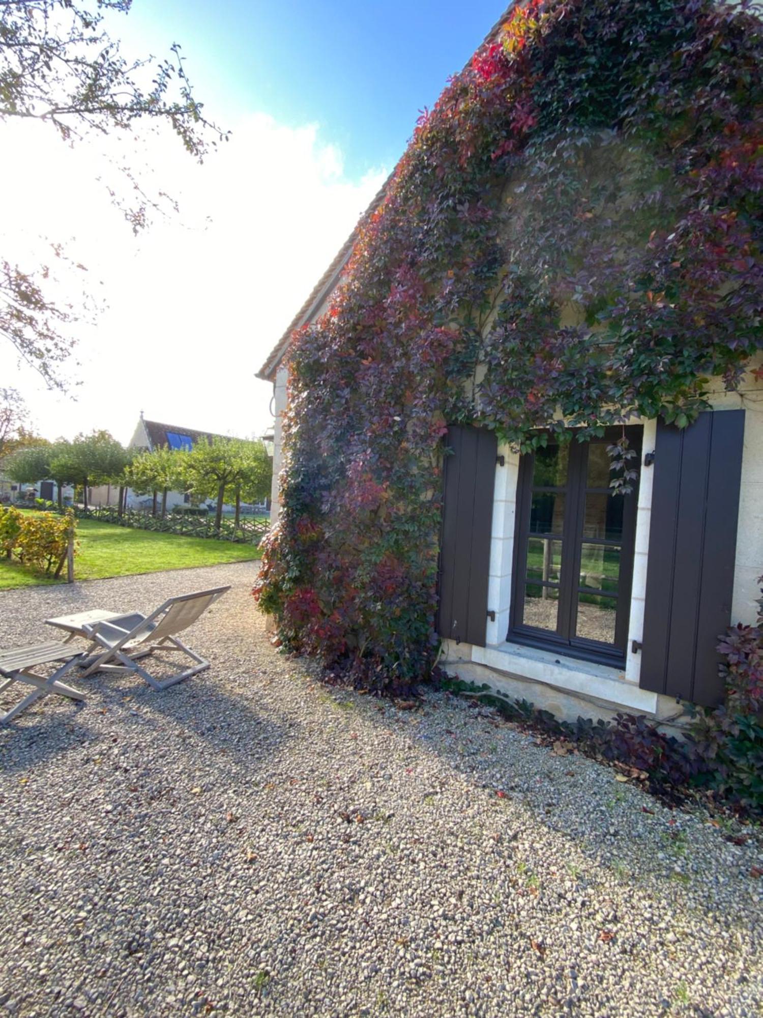 Domaine De Poulaines Pres Valencay Val De Loire Berry Villa ภายนอก รูปภาพ